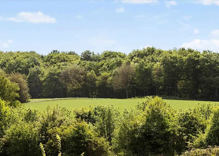度假居 Starry Sky And Peace By The Water